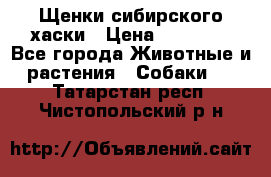 Щенки сибирского хаски › Цена ­ 12 000 - Все города Животные и растения » Собаки   . Татарстан респ.,Чистопольский р-н